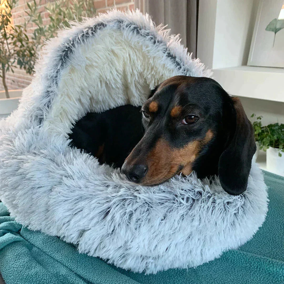 NEBULA STORE™  - THE PREMIUM PET BED