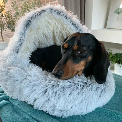 NEBULA STORE™  - THE PREMIUM PET BED