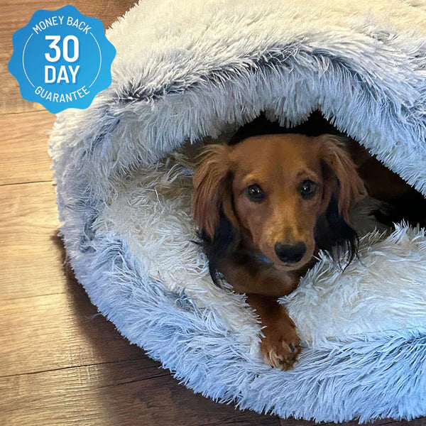 NEBULA STORE™  - THE PREMIUM PET BED